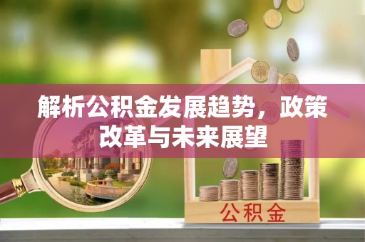 卢龙解析公积金发展趋势，政策改革与未来展望