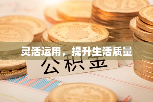 卢龙灵活运用，提升生活质量