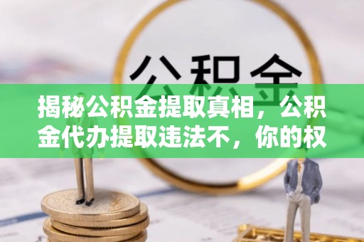 卢龙揭秘公积金提取真相，公积金代办提取违法不，你的权益如何保障？