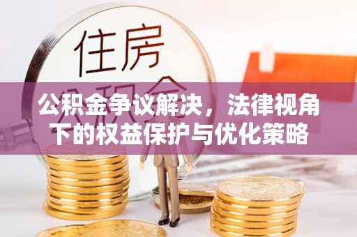 卢龙公积金争议解决，法律视角下的权益保护与优化策略