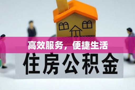 卢龙高效服务，便捷生活