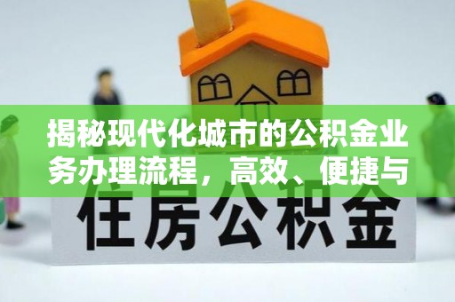 卢龙揭秘现代化城市的公积金业务办理流程，高效、便捷与未来趋势
