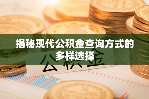 卢龙揭秘现代公积金查询方式的多样选择