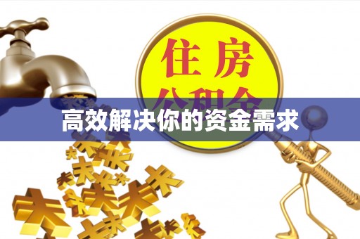 卢龙高效解决你的资金需求