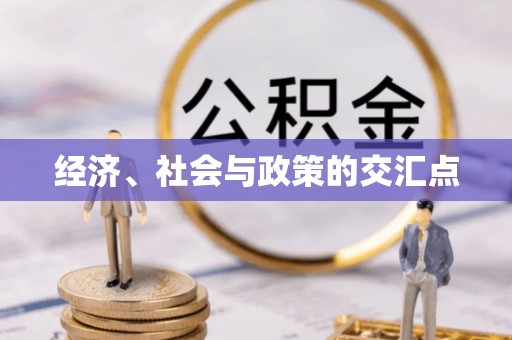 卢龙经济、社会与政策的交汇点