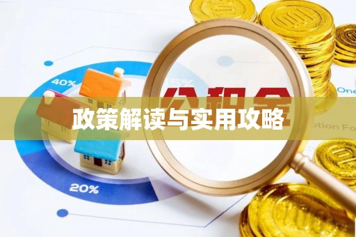 卢龙政策解读与实用攻略