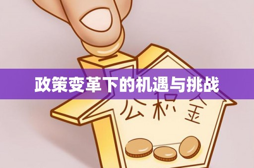 卢龙政策变革下的机遇与挑战