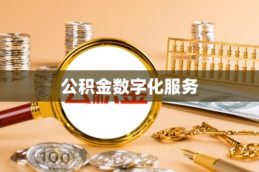 卢龙公积金数字化服务