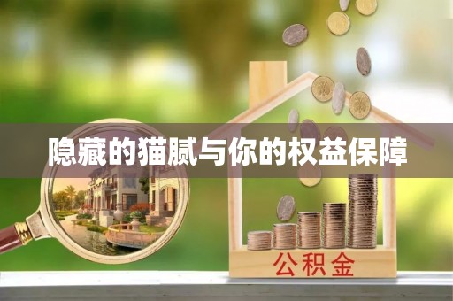 卢龙隐藏的猫腻与你的权益保障
