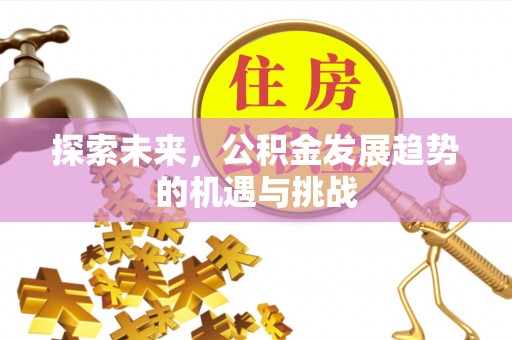 卢龙探索未来，公积金发展趋势的机遇与挑战