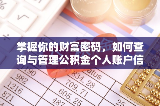 卢龙掌握你的财富密码，如何查询与管理公积金个人账户信息