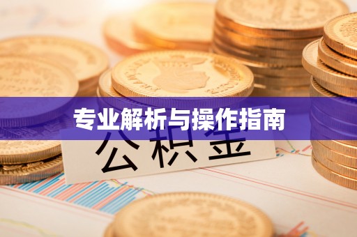 卢龙专业解析与操作指南