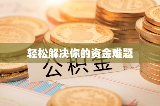 卢龙轻松解决你的资金难题
