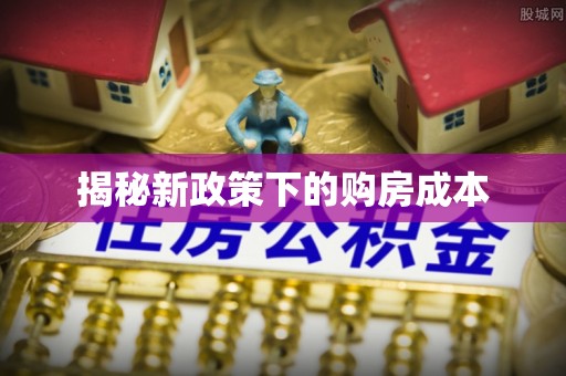 卢龙揭秘新政策下的购房成本