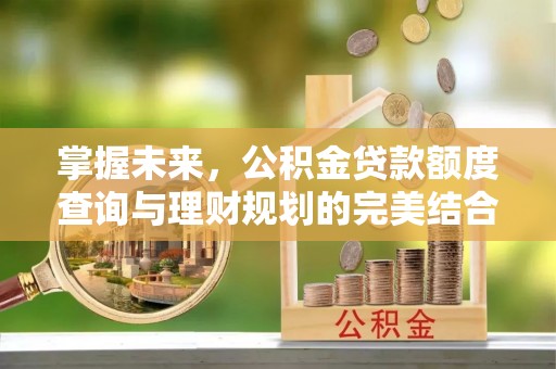 卢龙掌握未来，公积金贷款额度查询与理财规划的完美结合
