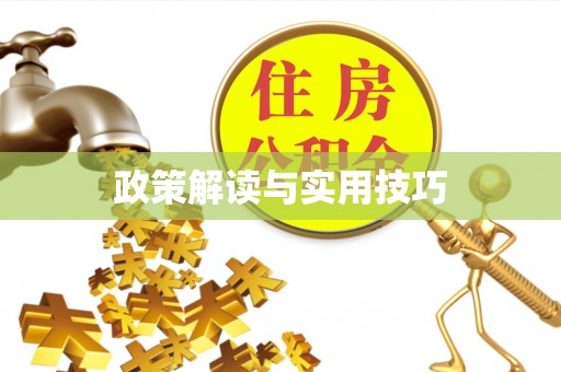 卢龙政策解读与实用技巧