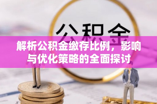卢龙解析公积金缴存比例，影响与优化策略的全面探讨