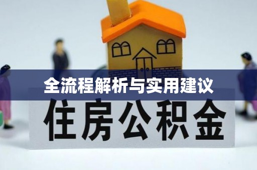 卢龙全流程解析与实用建议