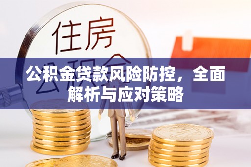 卢龙公积金贷款风险防控，全面解析与应对策略
