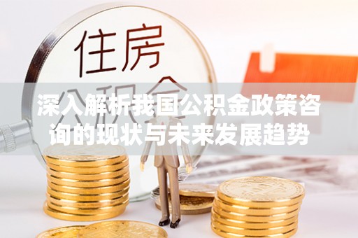 卢龙深入解析我国公积金政策咨询的现状与未来发展趋势