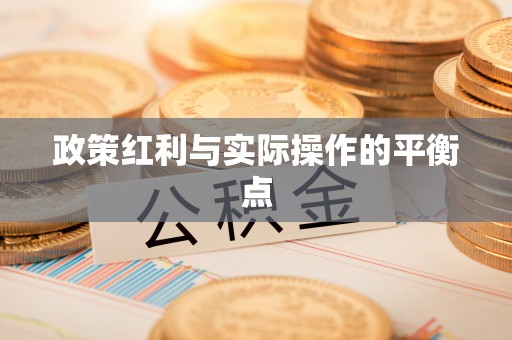 卢龙政策红利与实际操作的平衡点