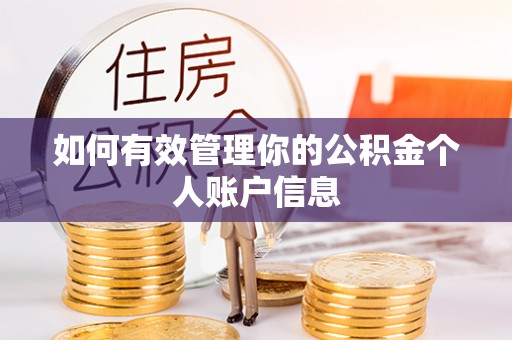 卢龙如何有效管理你的公积金个人账户信息