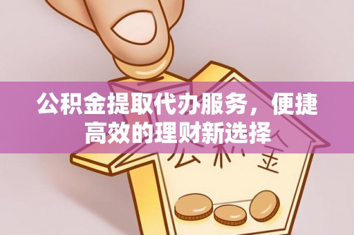 卢龙公积金提取代办服务，便捷高效的理财新选择