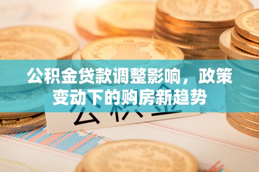 卢龙公积金贷款调整影响，政策变动下的购房新趋势
