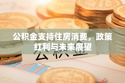 卢龙公积金支持住房消费，政策红利与未来展望