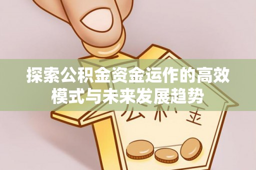 卢龙探索公积金资金运作的高效模式与未来发展趋势