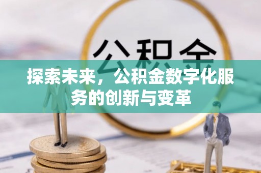 卢龙探索未来，公积金数字化服务的创新与变革