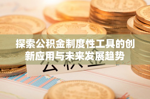 卢龙探索公积金制度性工具的创新应用与未来发展趋势