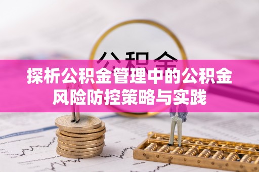 卢龙探析公积金管理中的公积金风险防控策略与实践