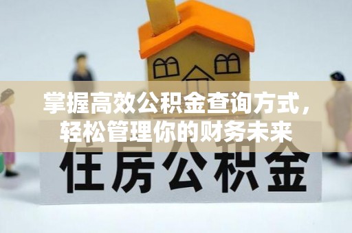 卢龙掌握高效公积金查询方式，轻松管理你的财务未来