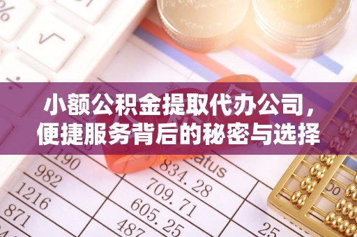 卢龙小额公积金提取代办公司，便捷服务背后的秘密与选择指南