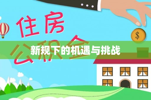 卢龙新规下的机遇与挑战