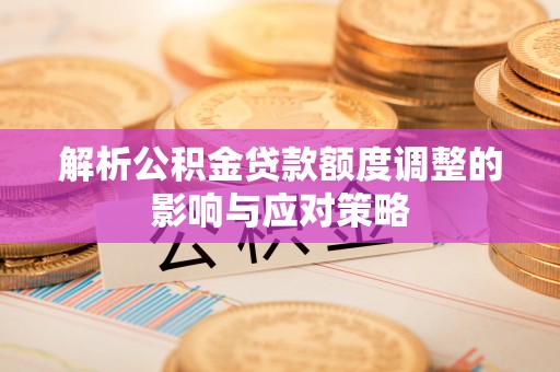 卢龙解析公积金贷款额度调整的影响与应对策略