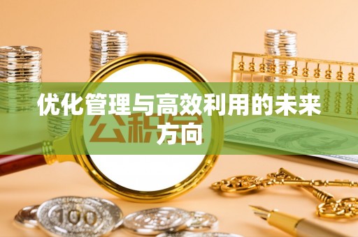 卢龙优化管理与高效利用的未来方向