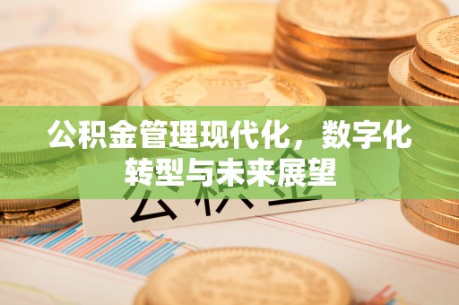 卢龙公积金管理现代化，数字化转型与未来展望