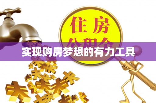 卢龙实现购房梦想的有力工具