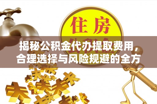 卢龙揭秘公积金代办提取费用，合理选择与风险规避的全方位解析