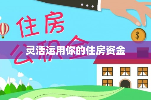 卢龙灵活运用你的住房资金