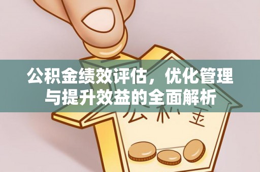 卢龙公积金绩效评估，优化管理与提升效益的全面解析