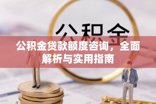 卢龙公积金贷款额度咨询，全面解析与实用指南