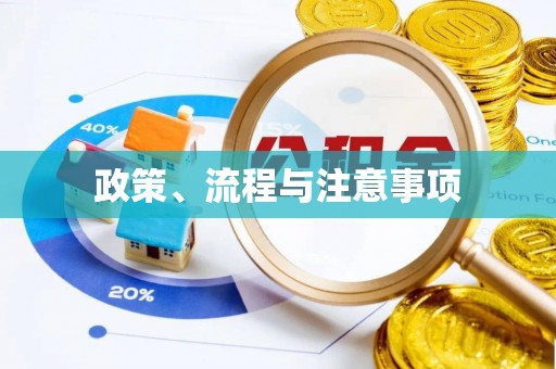 卢龙政策、流程与注意事项