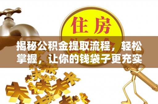 卢龙揭秘公积金提取流程，轻松掌握，让你的钱袋子更充实