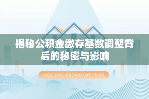 卢龙揭秘公积金缴存基数调整背后的秘密与影响