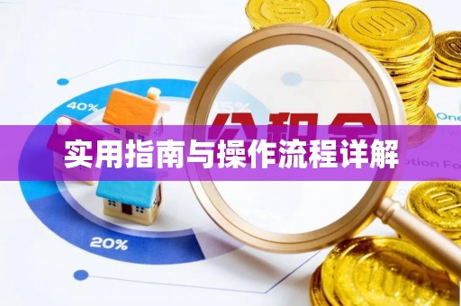 卢龙实用指南与操作流程详解