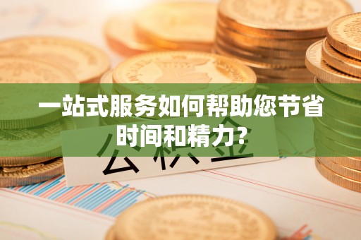 卢龙一站式服务如何帮助您节省时间和精力？