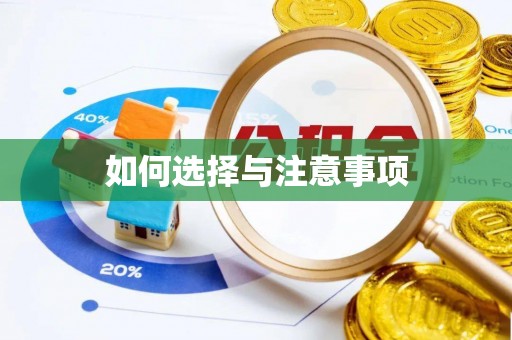 卢龙如何选择与注意事项